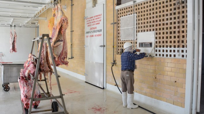 modernizacion-rastro-3