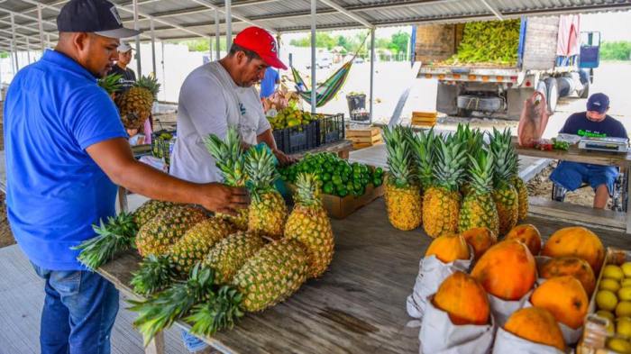 19275263_726778864192574_1592691883537314487_n