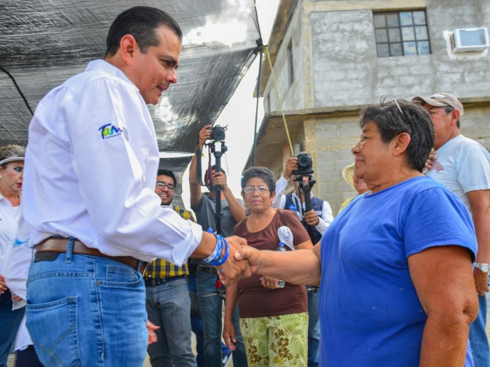 PAVIMENTACIONES GRANJAS REGINA (1)