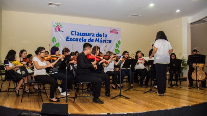 CLASES DE MÚSICA DIF 1