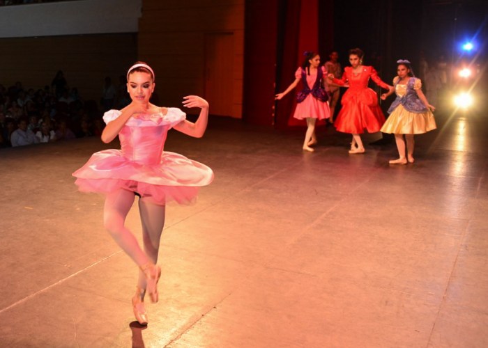 INVITA COMPAÑÍA DE DANZA A AUDICIONES