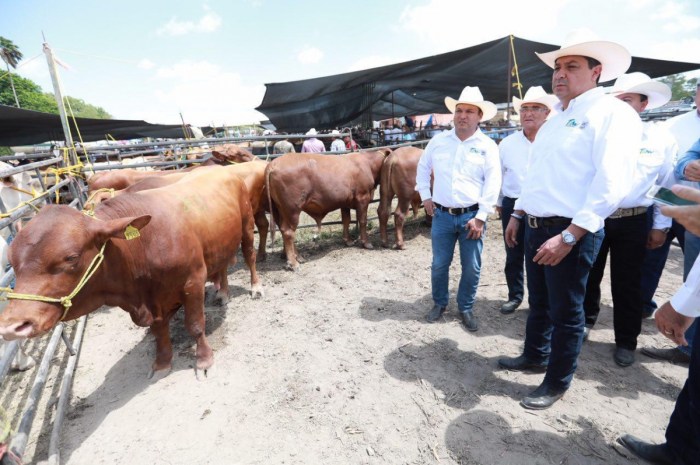 TAM-170-2017.-Tamaulipas-firme-en-la-recuperación-de-la-competitividad-ganadera.-1