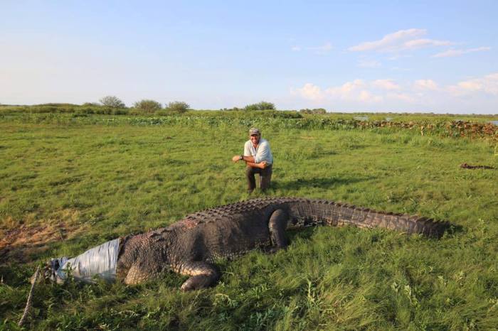 20729704_752492458287881_6792743547898175711_n (1)